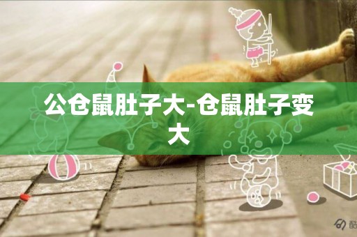 公倉鼠肚子大-倉鼠肚子變大