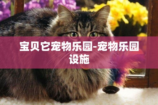 寶貝它寵物樂園-寵物樂園設施