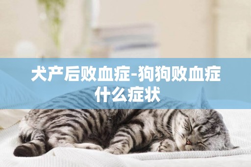 犬產后敗血癥-狗狗敗血癥 什么癥狀