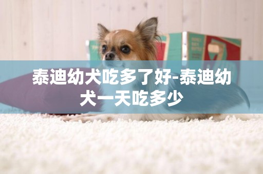 泰迪幼犬吃多了好-泰迪幼犬一天吃多少