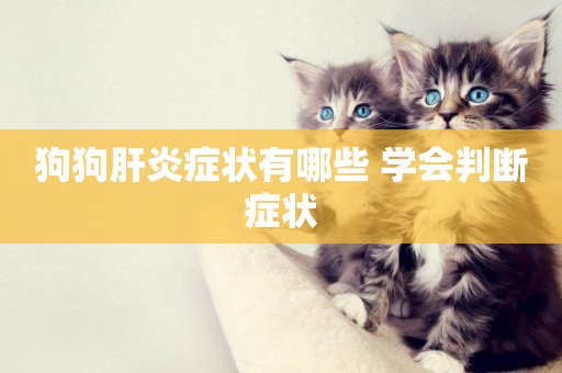 狗狗肝炎癥狀有哪些 學會判斷癥狀
