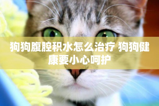 狗狗腹腔積水怎么治療 狗狗健康要小心呵護