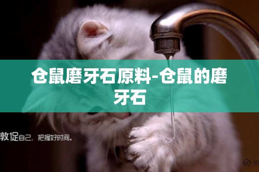 倉鼠磨牙石原料-倉鼠的磨牙石