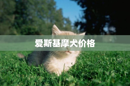 愛斯基摩犬價格