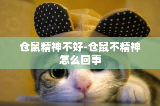 倉鼠精神不好-倉鼠不精神怎么回事