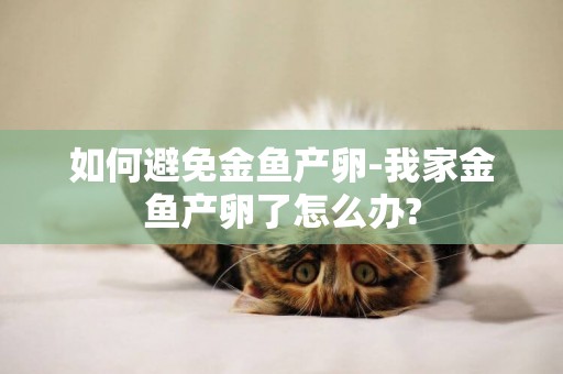 如何避免金魚產卵-我家金魚產卵了怎么辦?