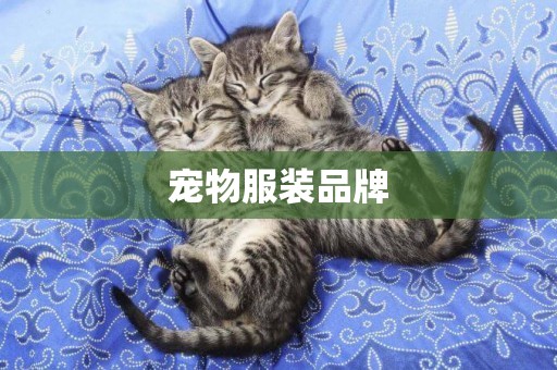 寵物服裝品牌