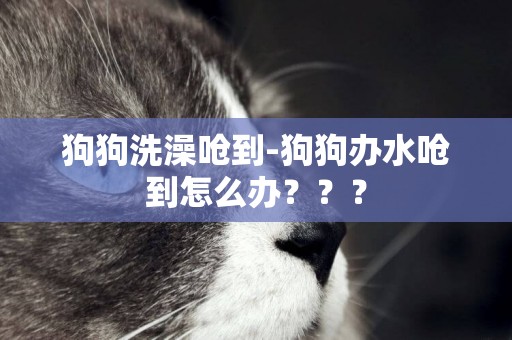 狗狗洗澡嗆到-狗狗辦水嗆到怎么辦？？？