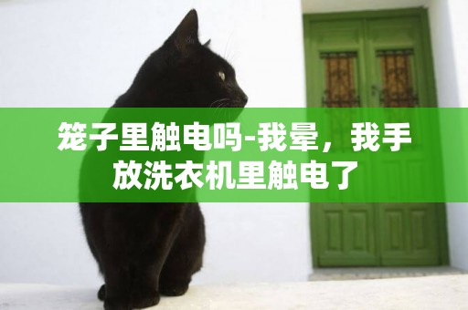 籠子里觸電嗎-我暈，我手放洗衣機里觸電了
