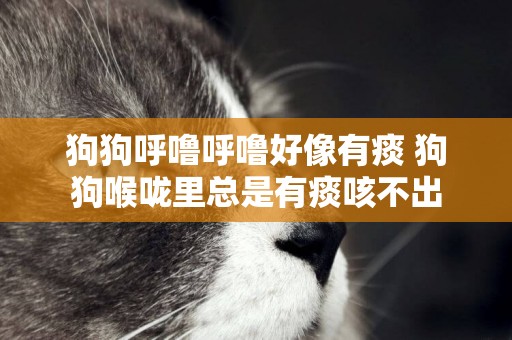 狗狗呼嚕呼嚕好像有痰 狗狗喉嚨里總是有痰咳不出