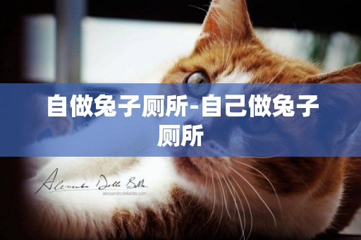 自做兔子廁所-自己做兔子廁所