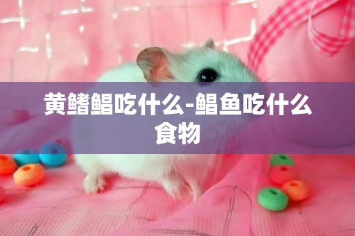黃鰭鯧吃什么-鯧魚吃什么食物