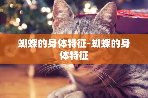 蝴蝶的身體特征-蝴蝶的身體特征