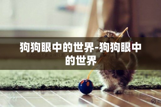 狗狗眼中的世界-狗狗眼中的世界