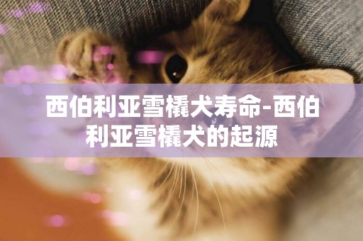 西伯利亞雪橇犬壽命-西伯利亞雪橇犬的起源