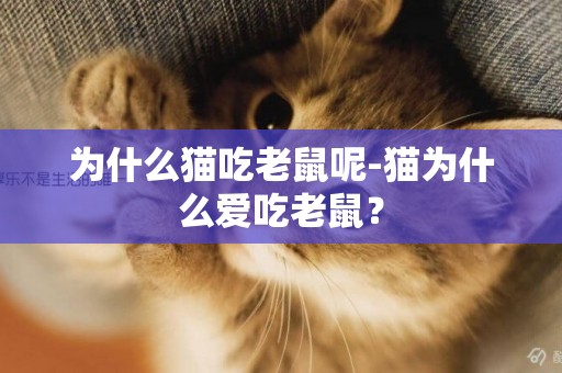 為什么貓吃老鼠呢-貓為什么愛吃老鼠？