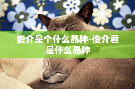 俊介是個什么品種-俊介君是什么品種