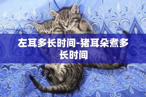 左耳多長時間-豬耳朵煮多長時間