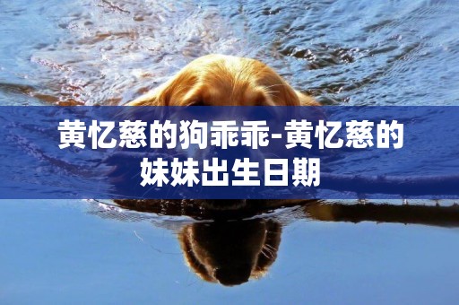 黃憶慈的狗乖乖-黃憶慈的妹妹出生日期