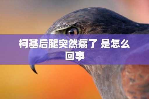 柯基后腿突然瘸了 是怎么回事
