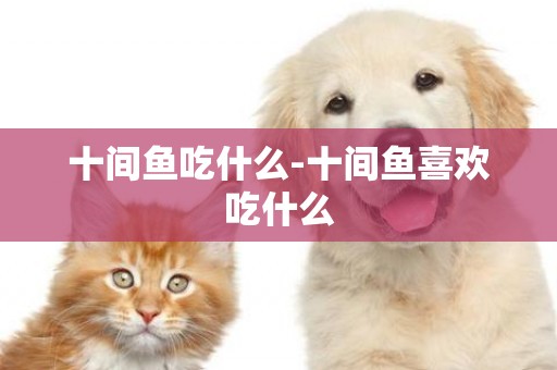 十間魚吃什么-十間魚喜歡吃什么