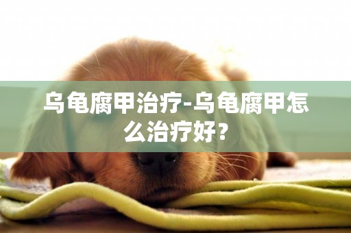 烏龜腐甲治療-烏龜腐甲怎么治療好？