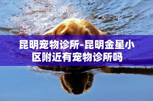 昆明寵物診所-昆明金星小區附近有寵物診所嗎