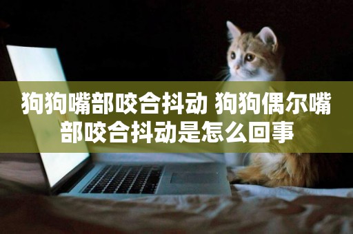 狗狗嘴部咬合抖動 狗狗偶爾嘴部咬合抖動是怎么回事
