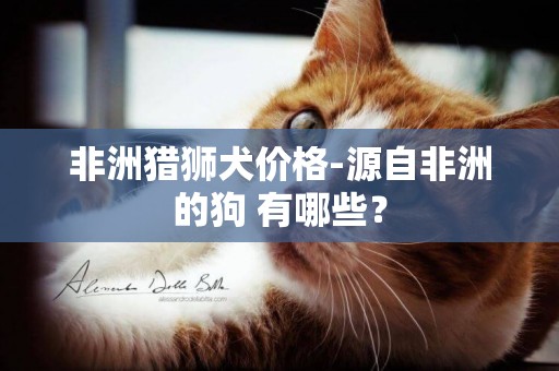 非洲獵獅犬價格-源自非洲的狗?有哪些？