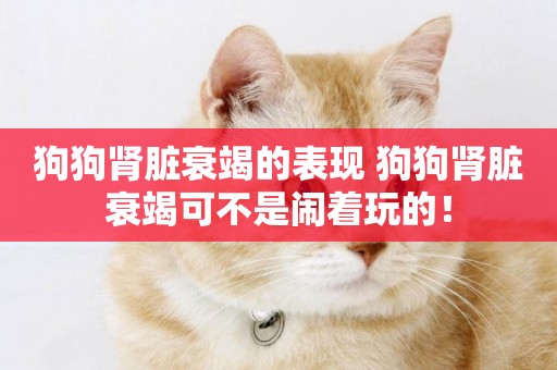 狗狗腎臟衰竭的表現 狗狗腎臟衰竭可不是鬧著玩的！