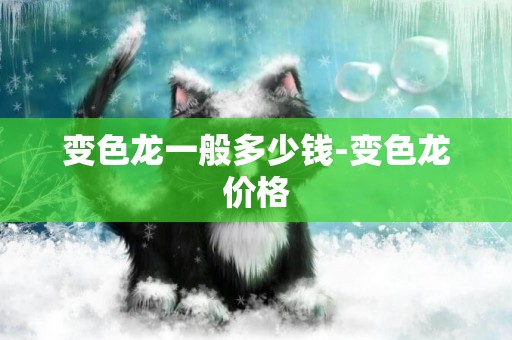變色龍一般多少錢-變色龍價格