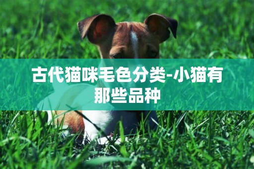 古代貓咪毛色分類-小貓有那些品種