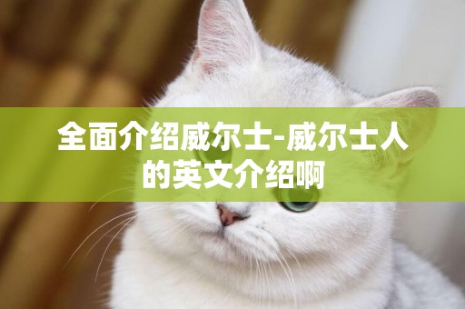 全面介紹威爾士-威爾士人的英文介紹啊