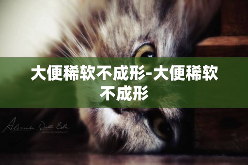 大便稀軟不成形-大便稀軟不成形