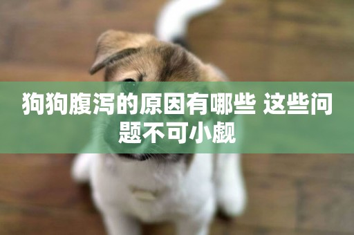 狗狗腹瀉的原因有哪些 這些問題不可小覷