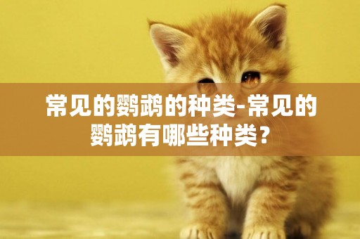 常見的鸚鵡的種類-常見的鸚鵡有哪些種類？
