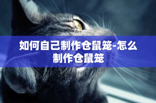 如何自己制作倉鼠籠-怎么制作倉鼠籠