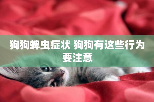 狗狗蜱蟲癥狀 狗狗有這些行為要注意
