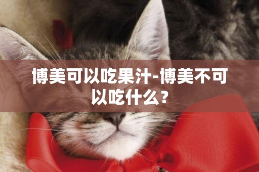 博美可以吃果汁-博美不可以吃什么？