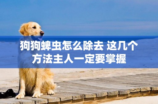 狗狗蜱蟲怎么除去 這幾個方法主人一定要掌握