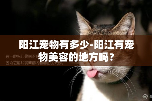 陽江寵物有多少-陽江有寵物美容的地方嗎？