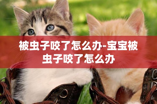 被蟲子咬了怎么辦-寶寶被蟲子咬了怎么辦