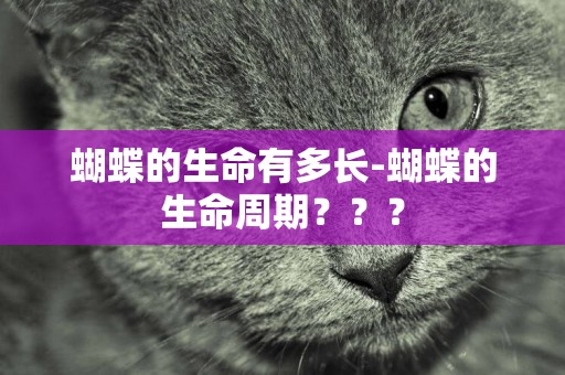 蝴蝶的生命有多長-蝴蝶的生命周期？？？