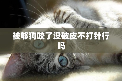 被夠狗咬了沒破皮不打針行嗎
