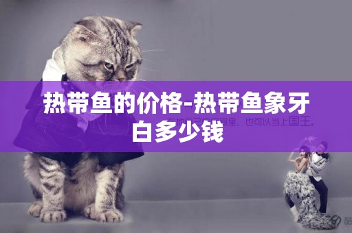 熱帶魚的價格-熱帶魚象牙白多少錢