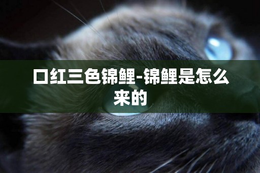 口紅三色錦鯉-錦鯉是怎么來的
