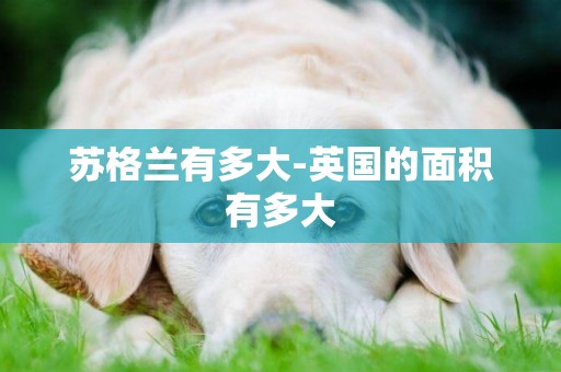 蘇格蘭有多大-英國的面積有多大