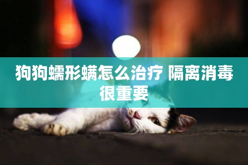 狗狗蠕形螨怎么治療 隔離消毒很重要
