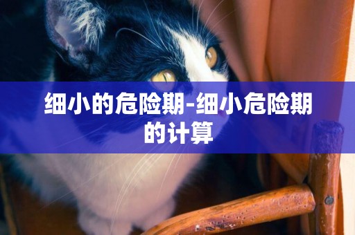 細小的危險期-細小危險期的計算
