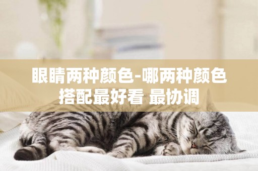 眼睛兩種顏色-哪兩種顏色搭配最好看?最協調
